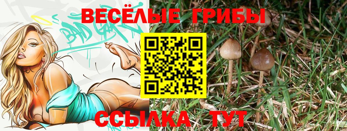 Галлюциногенные грибы Magic Shrooms Балаково