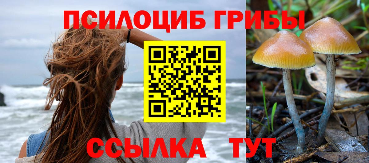 Балаково  Галлюциногенные грибы Psilocybe  Вход с VPN 